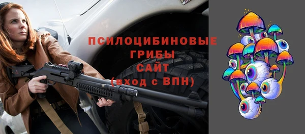 амф Аркадак