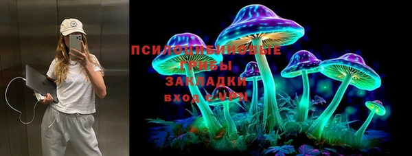 мяу мяу мука Арсеньев