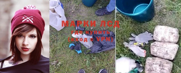 мяу мяу мука Арсеньев