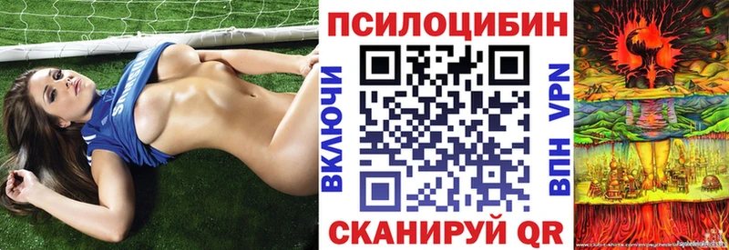 ОМГ ОМГ как войти  Бутурлиновка  Галлюциногенные грибы Magic Shrooms 